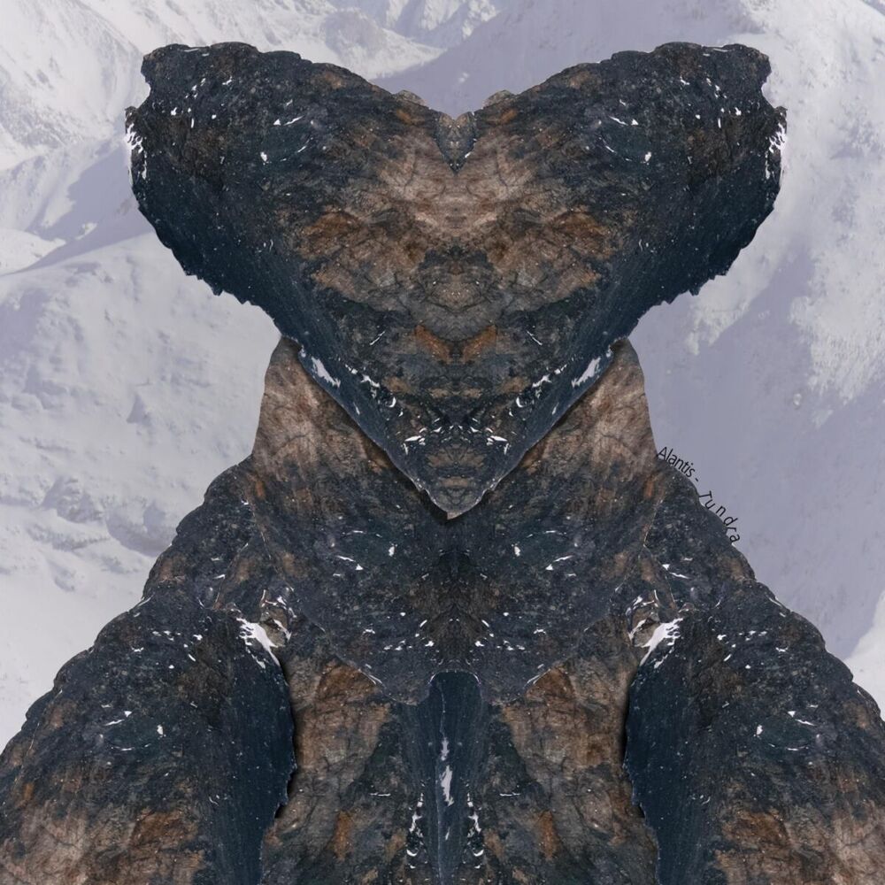 Picture of Tundra