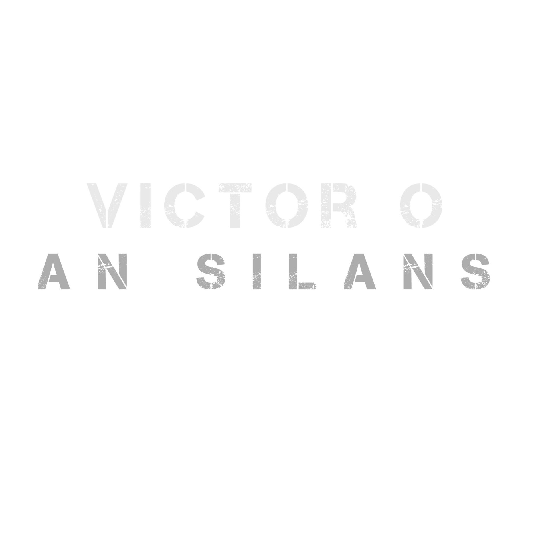 Album cover of AN SILANS