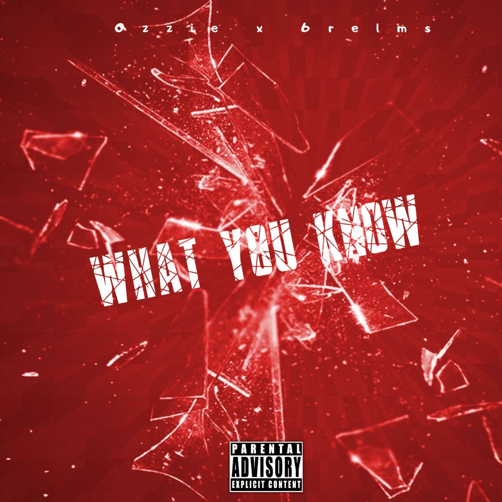 Album cover of What You Know ( Remix )