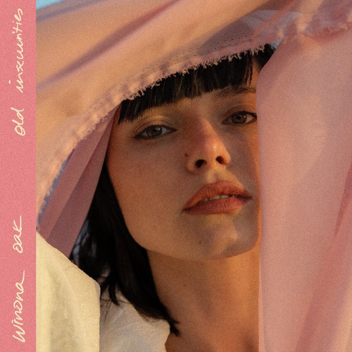 Album cover of Old Insecurities