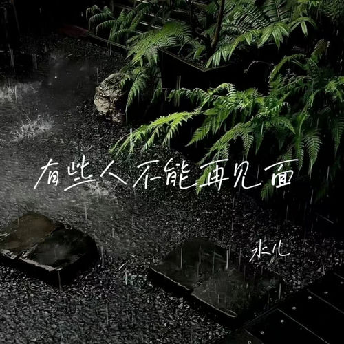 有些人不能再见面