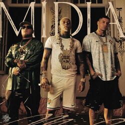 Cover of Mídia