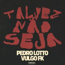 Cover of Talvez Não Seja