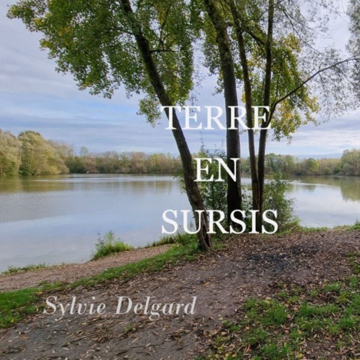 Album cover of Terre en sursis
