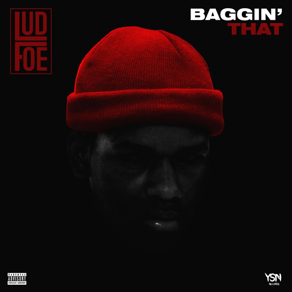 Picture of Baggin' That