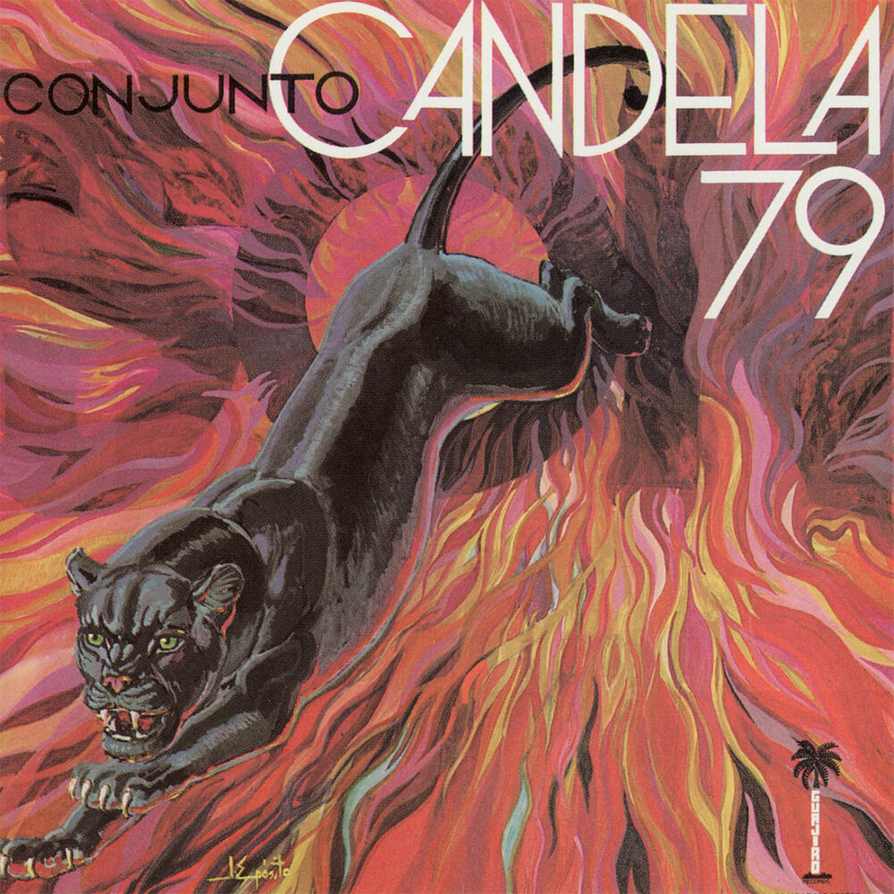 Picture of Conjunto Candela 79
