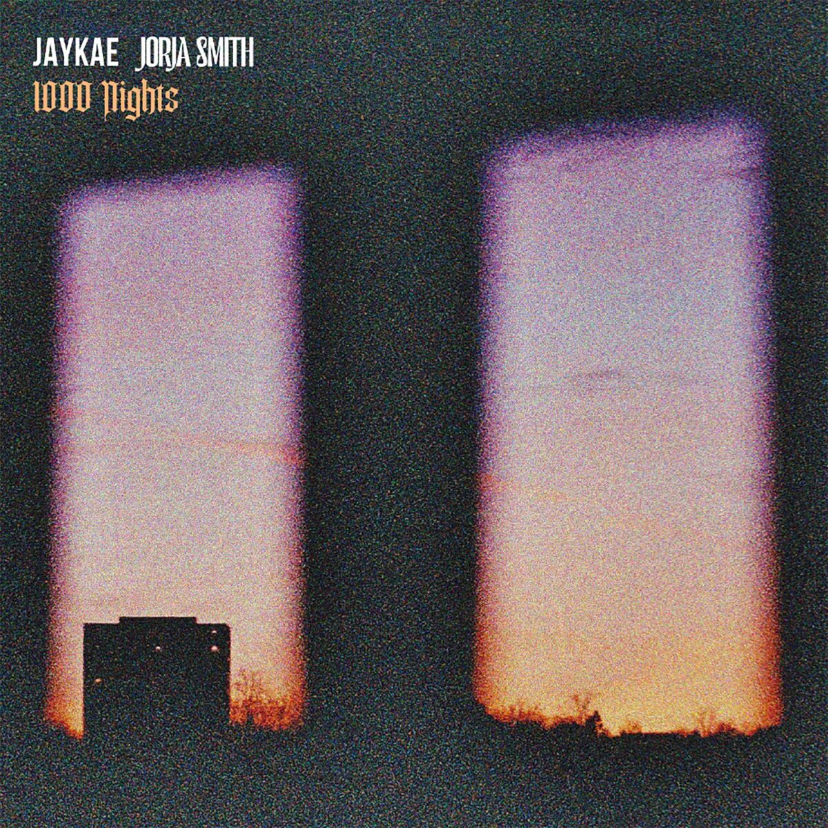 Album cover of 1000 Nights (feat. Jorja Smith)