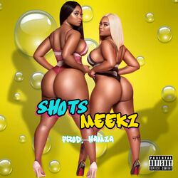 Cover of Shots