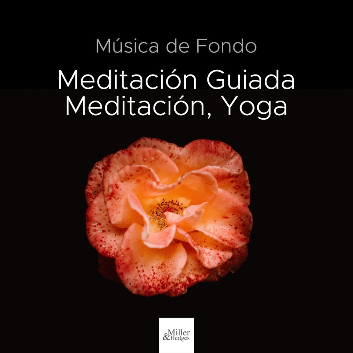 Album cover of Luna en el Cielo