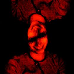 Cover of No Sleep