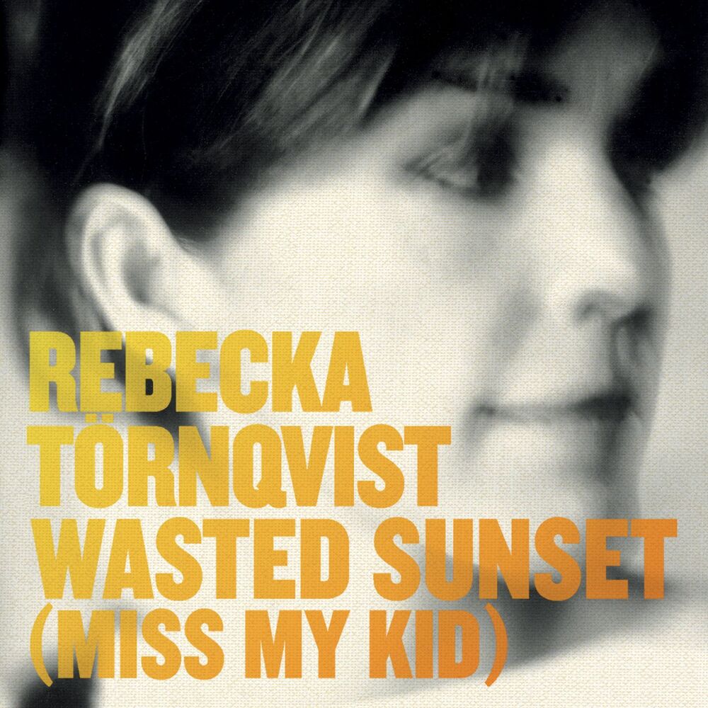 Picture of Wasted Sunset (Miss My Kid)