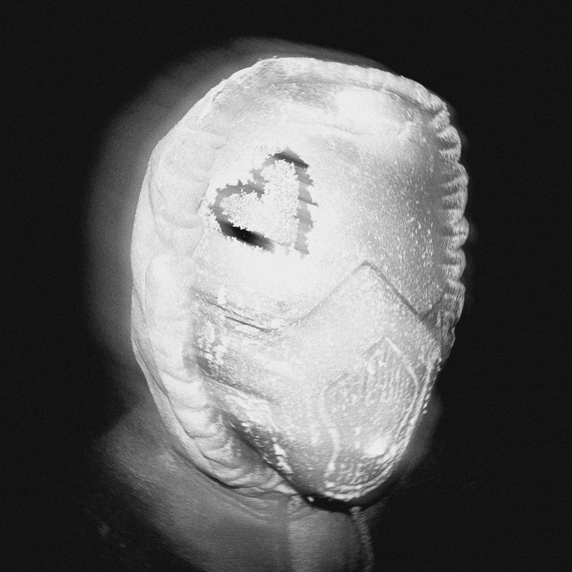 Album cover of Холодок