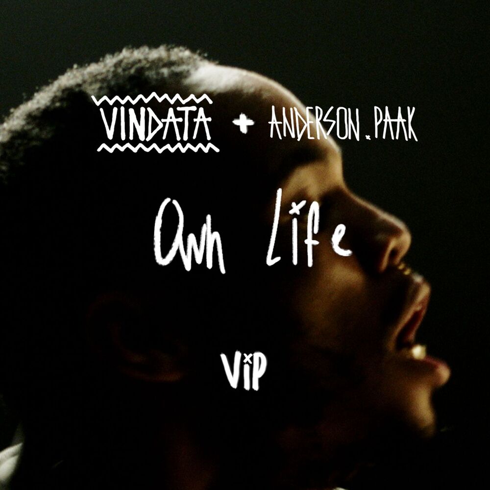Picture of Own Life (feat. Anderson .Paak) (VIP Mix)