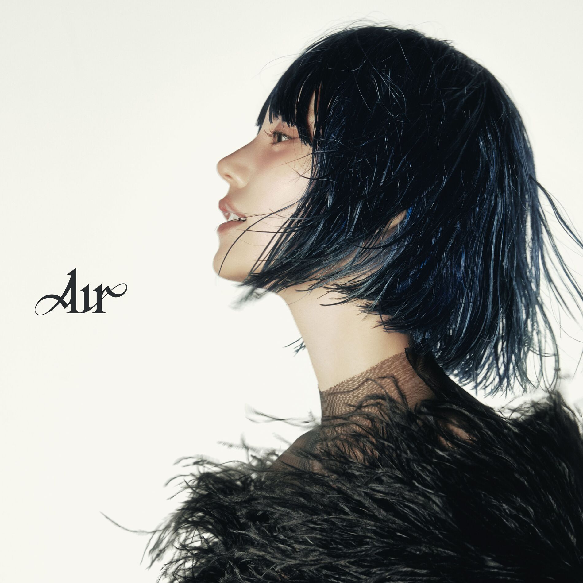 Album cover of Air