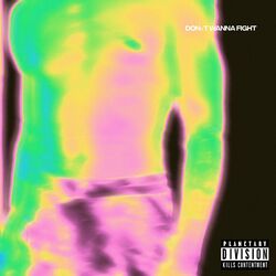 Cover of don't wanna fight