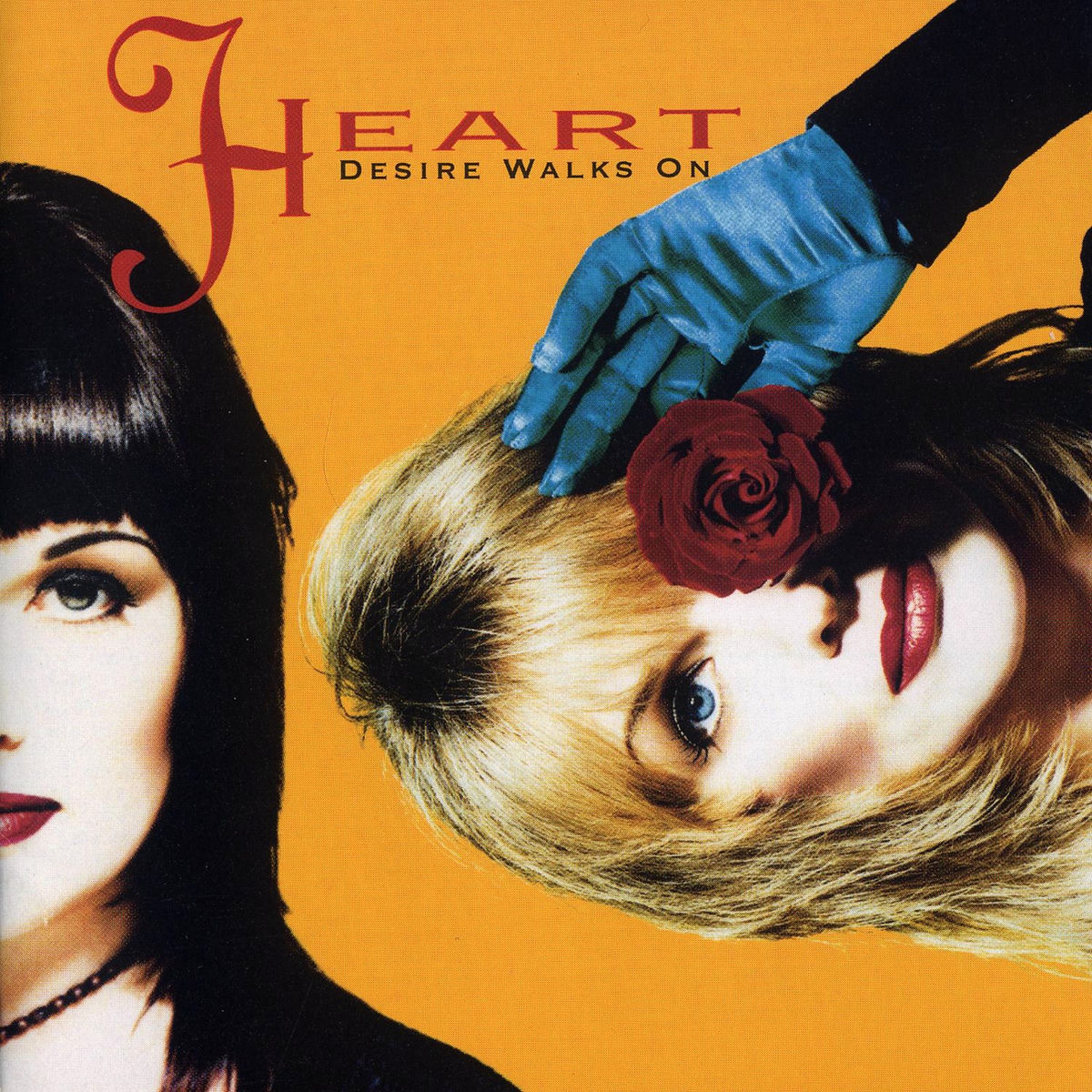 Album cover of Desire Walks On