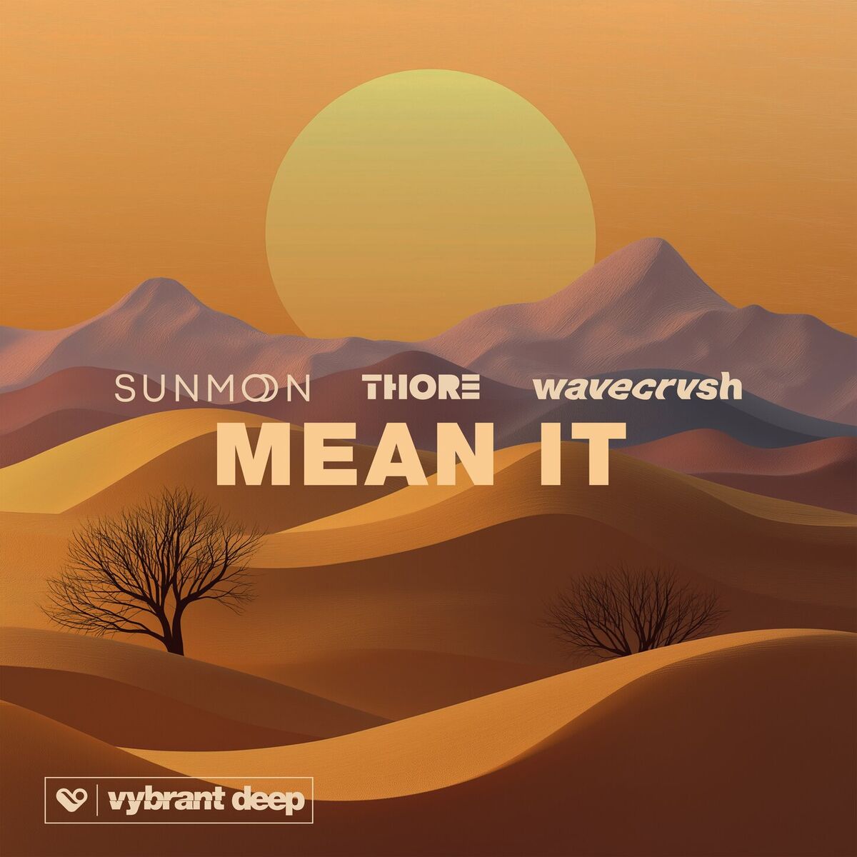 Album cover of Mean It