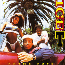 Cover of Rhyme Pays