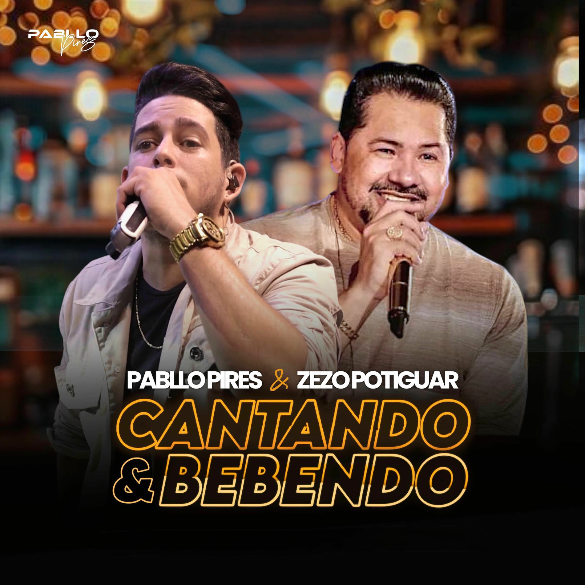Album cover of Cantando e Bebendo