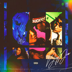 Capa de Digdin