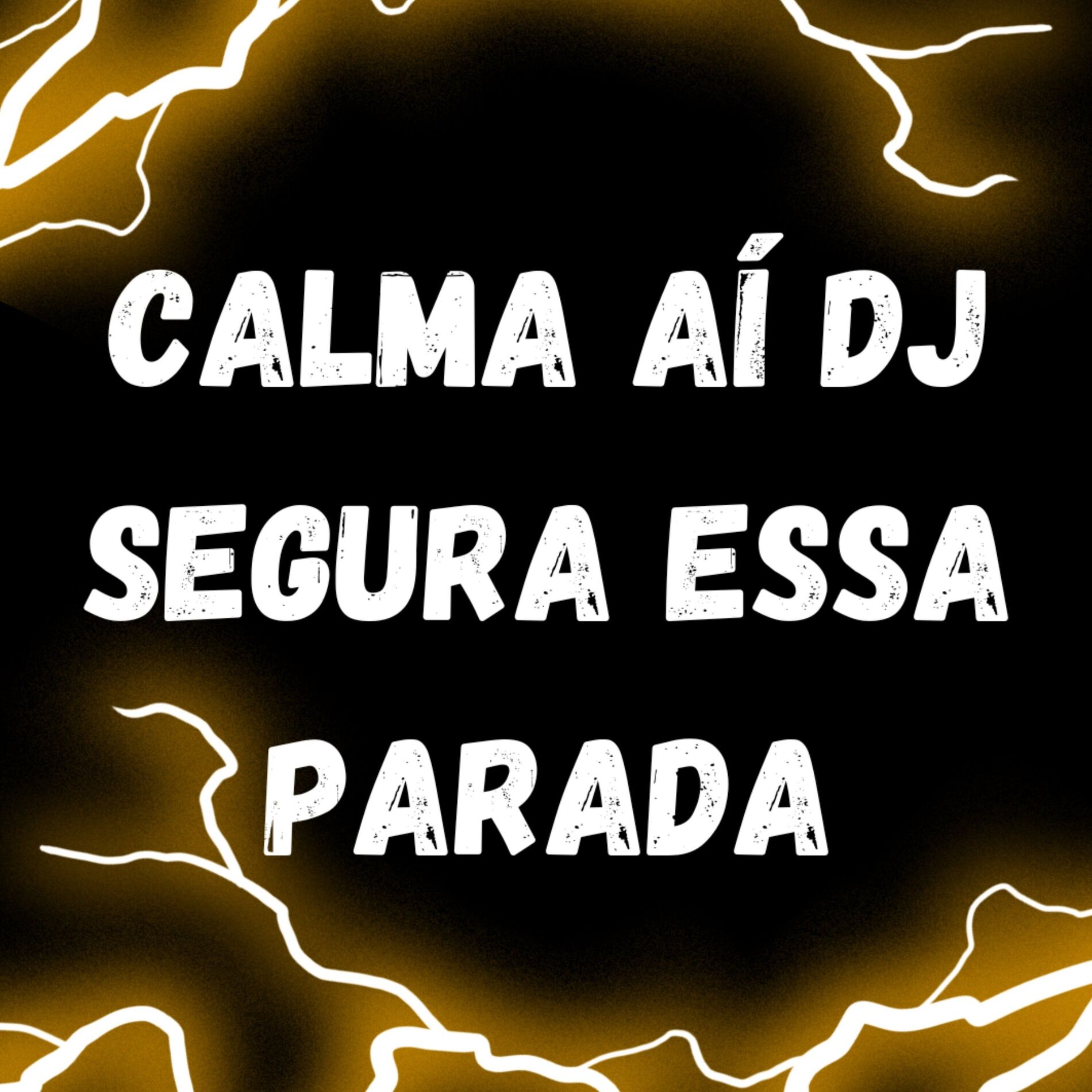 Album cover of Calma Aí Dj Segura Essa Parada