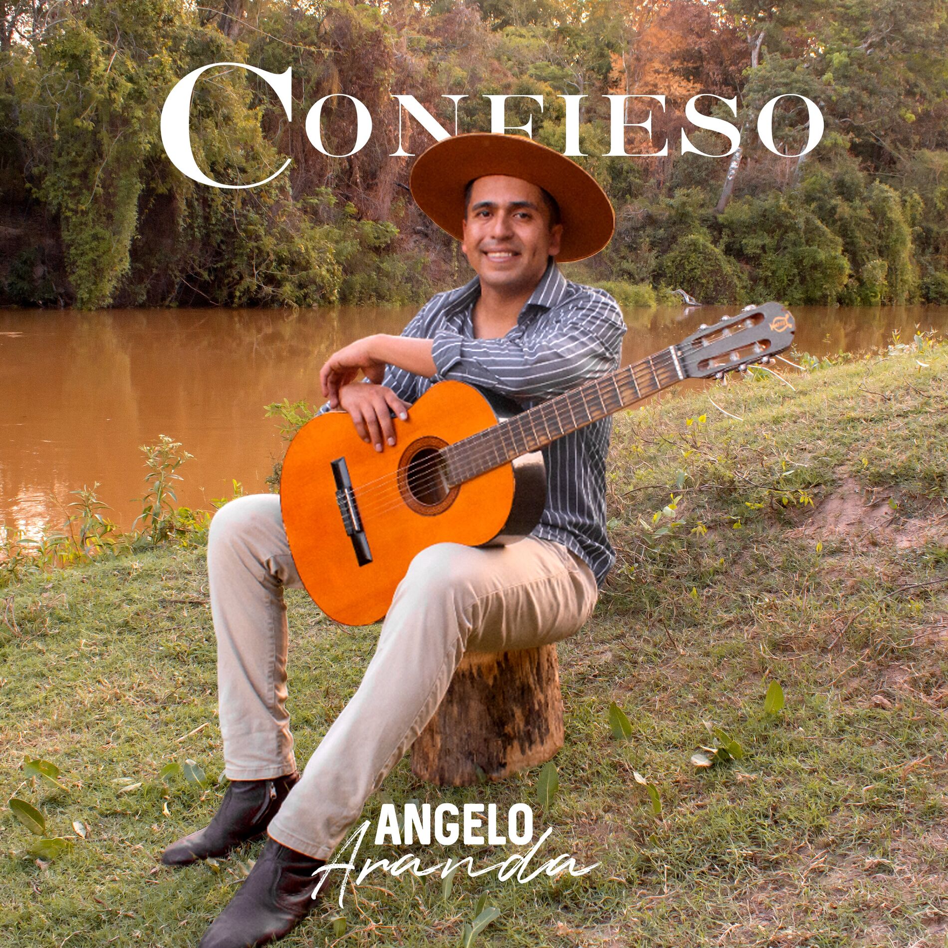 Album cover of Confieso