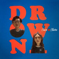 Cover of Drown