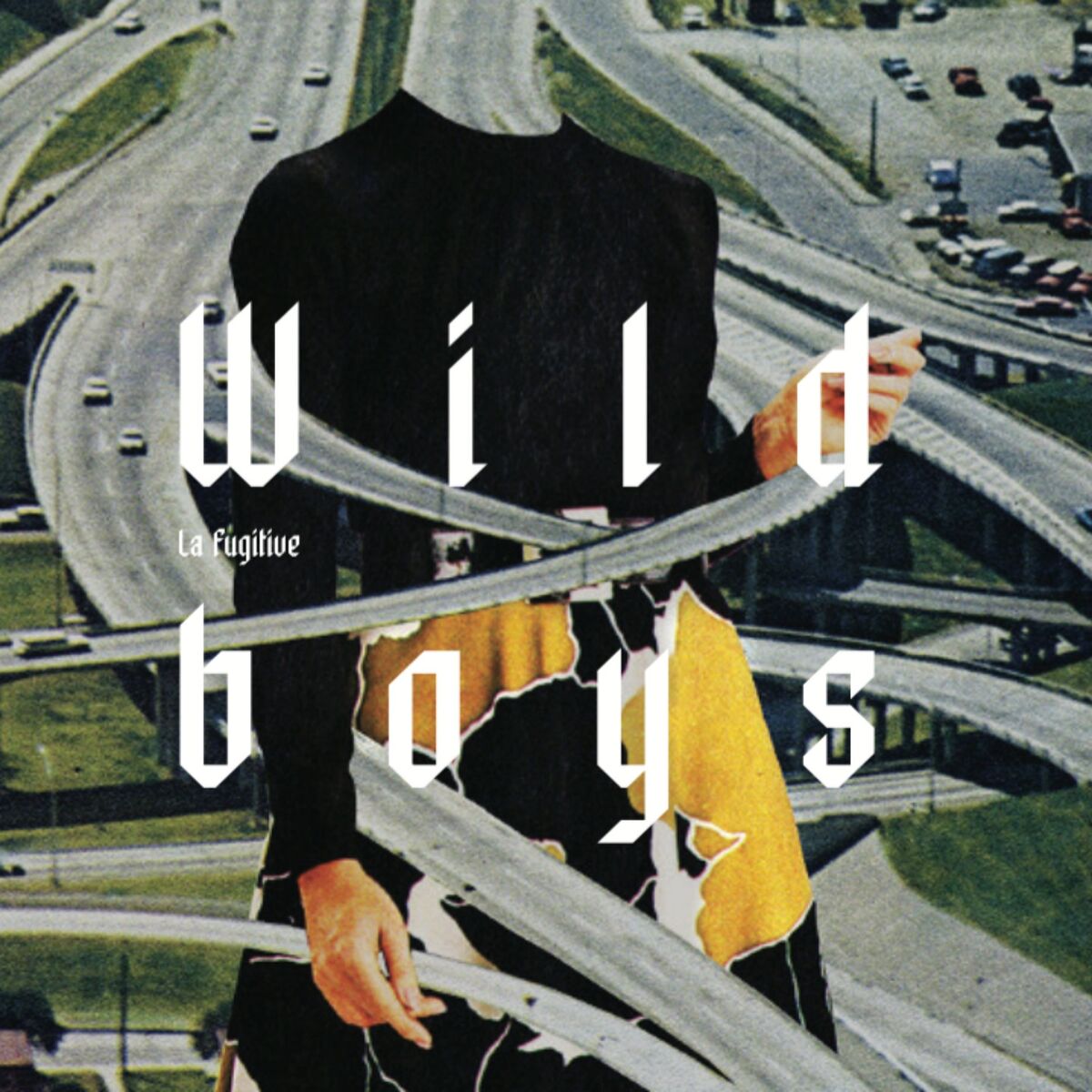 Album cover of Wild Boys