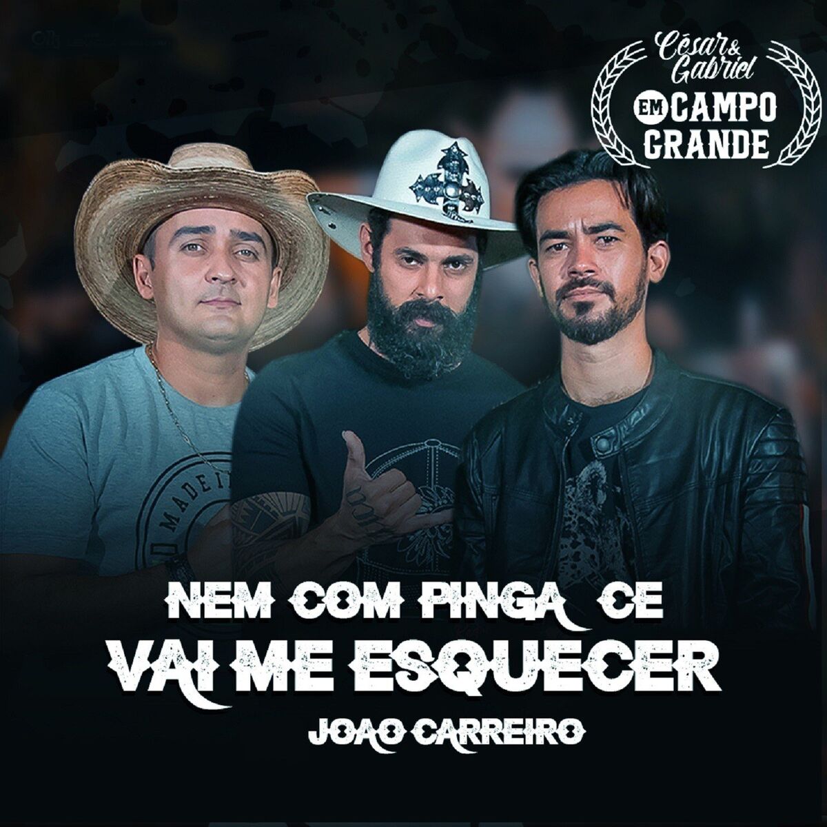 Album cover of Nem Com Pinga Cê Vai Me Esquecer