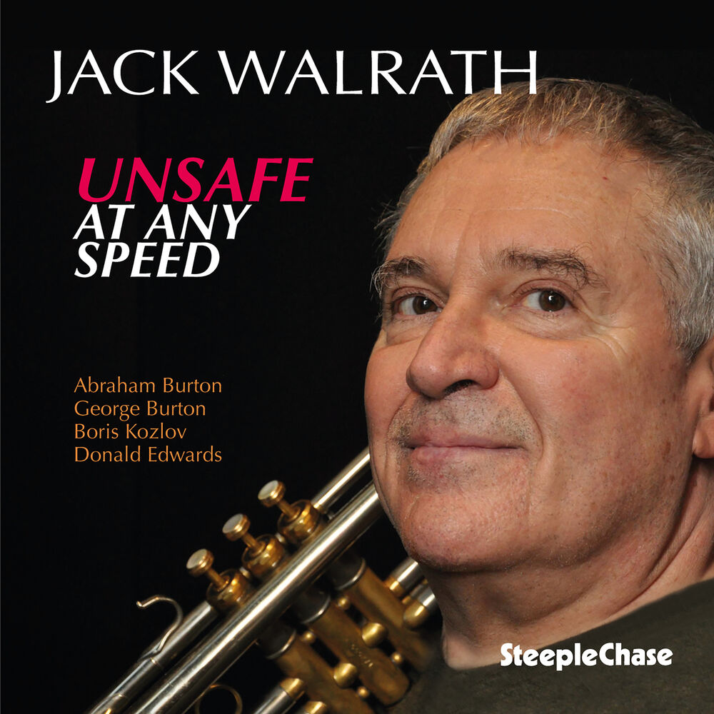 Picture of Unsafe at Any Speed