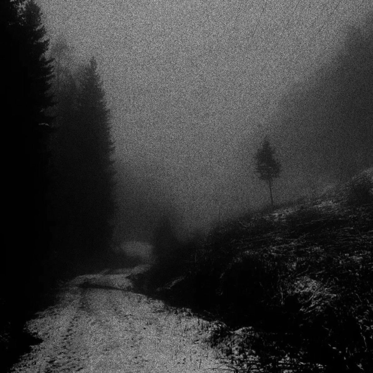 Album cover of so low (slowed)