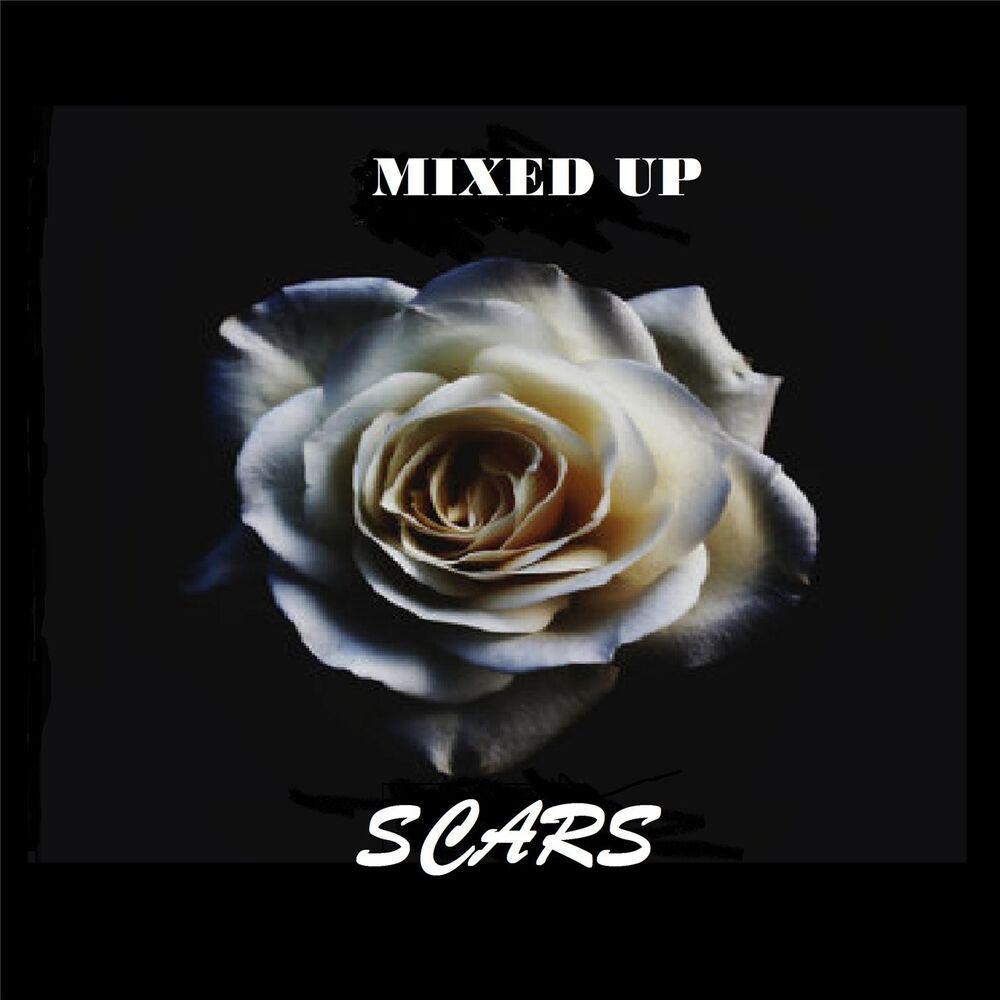 Picture of Scars