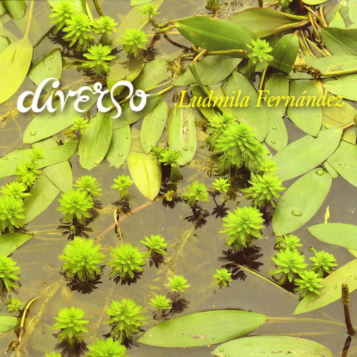 Album cover of Diverso