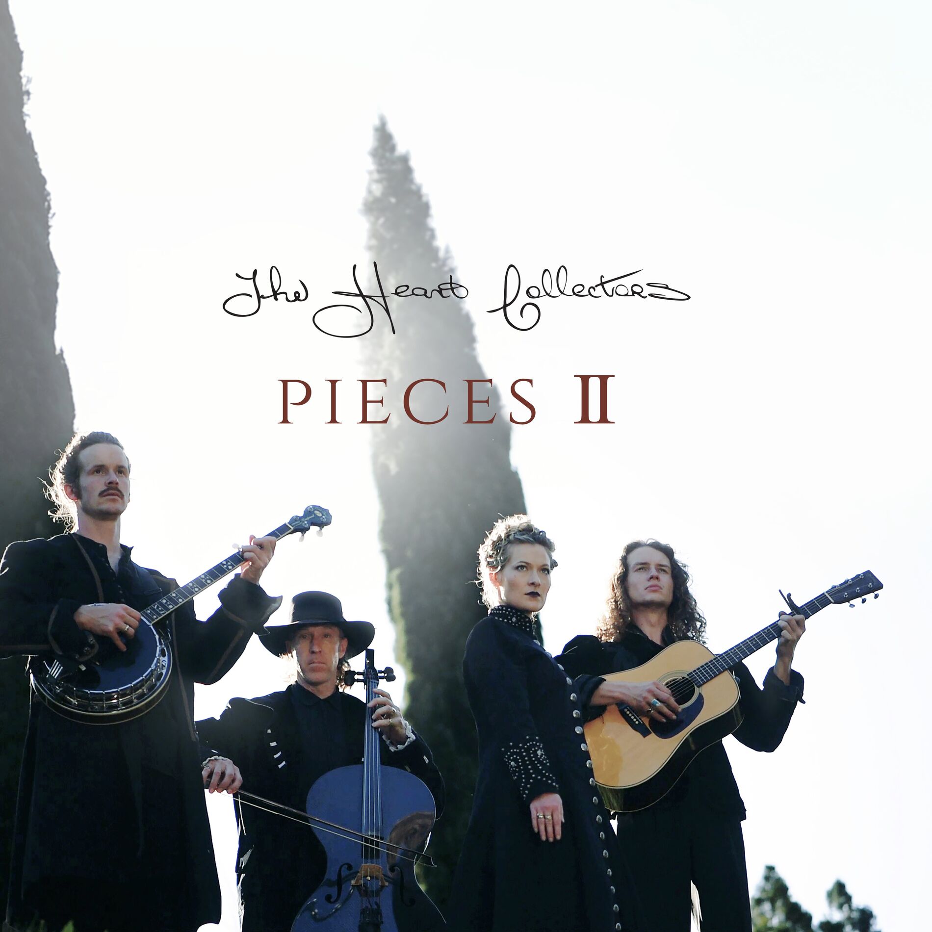 Album cover of Pieces II