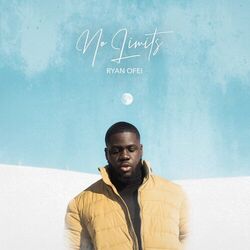 Cover of No Limits