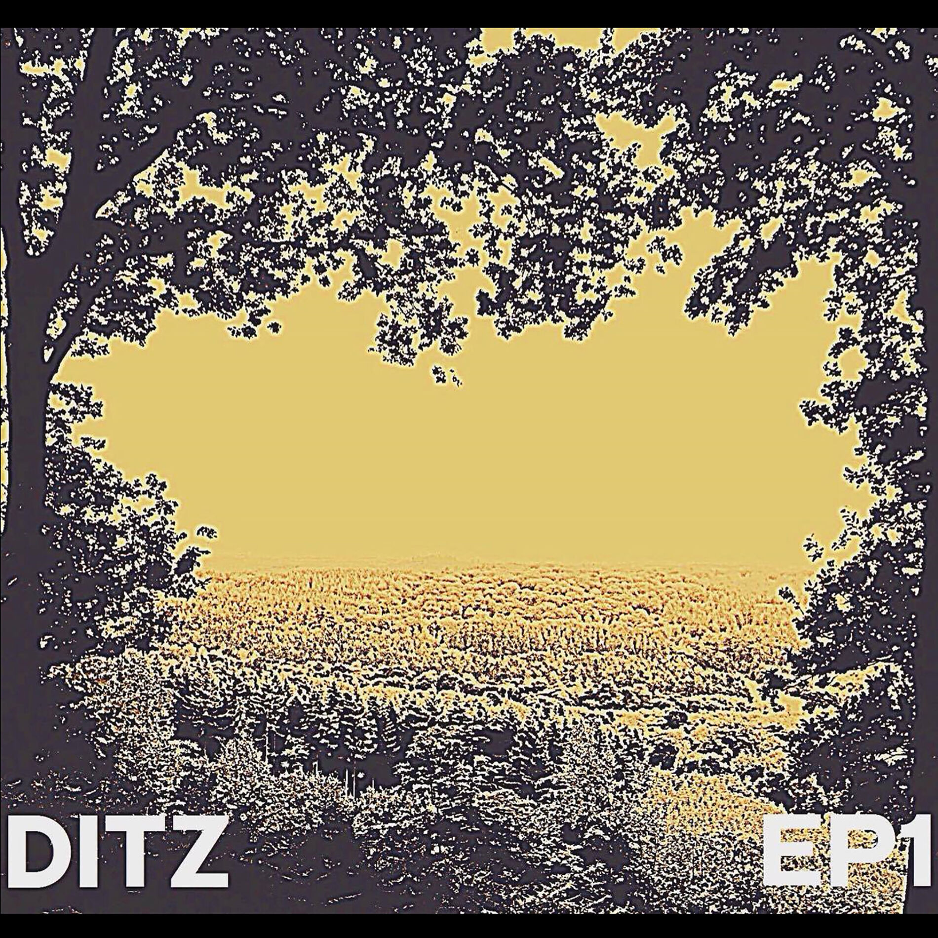 Album cover of EP1