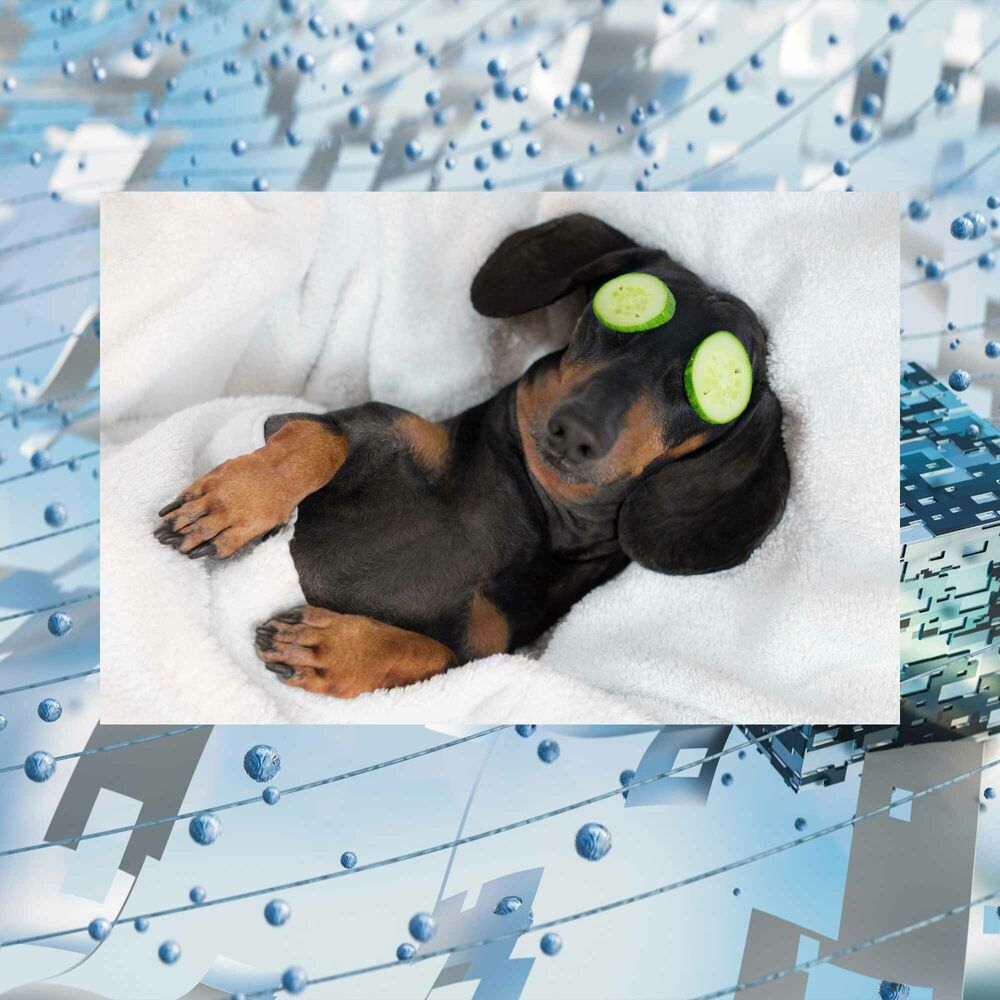 Picture of Spa Music - Background Music for Sleeping Mies