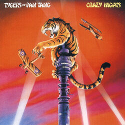 Cover of Crazy Nights