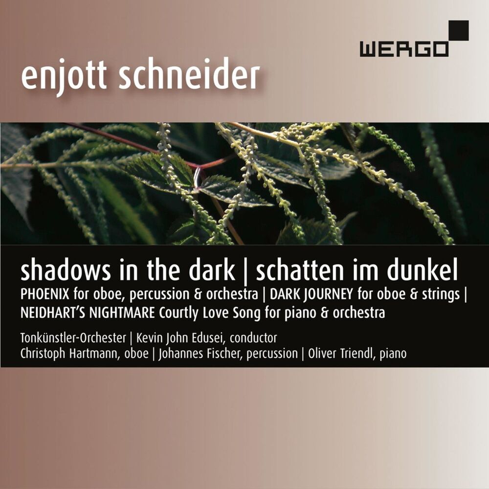 Picture of Schneider: Shadows in the Dark