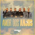 Amor dos Anjos