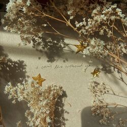Cover of I can’t live without you (feat. Charlie Oriain)