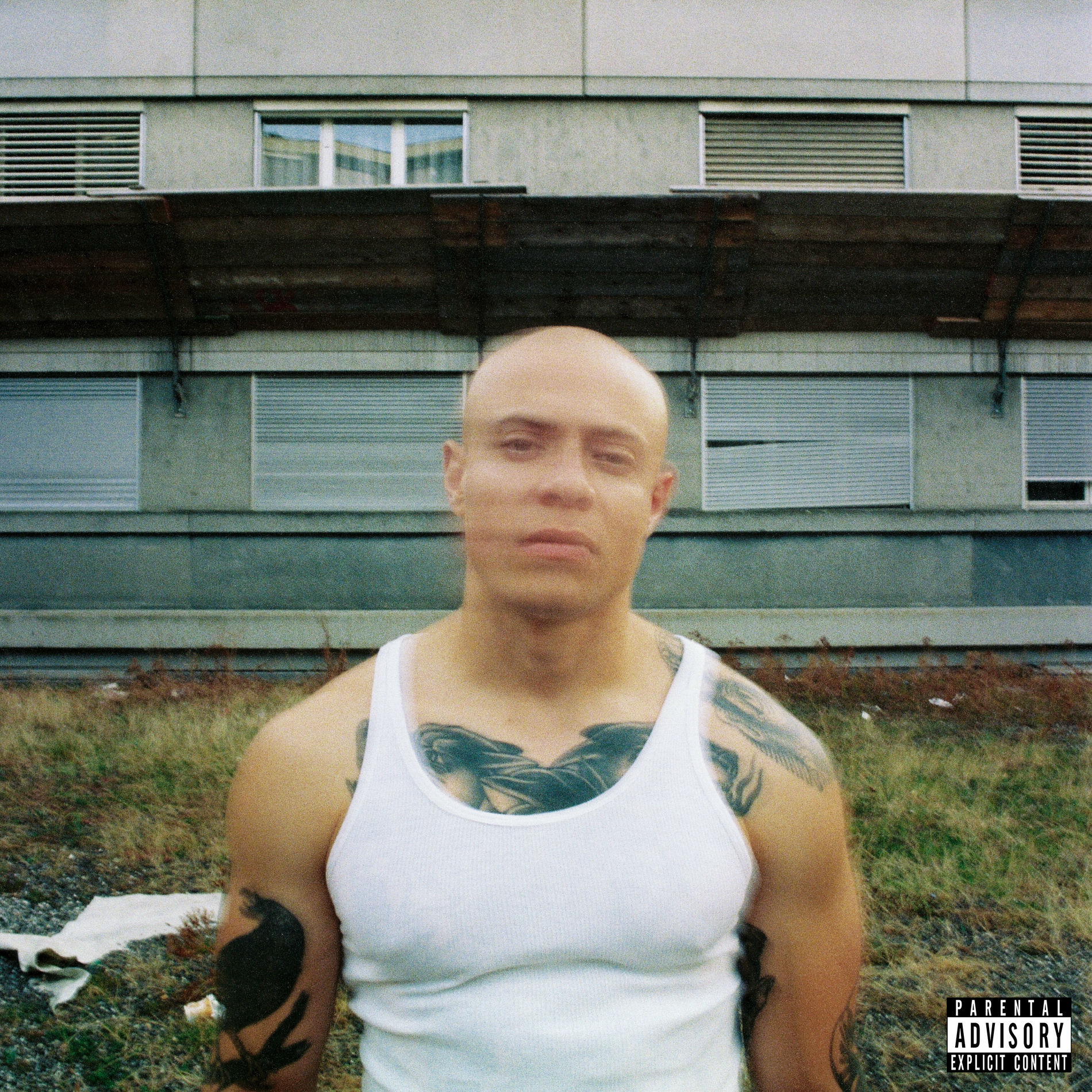 Album cover of On Va Jamais Mourir