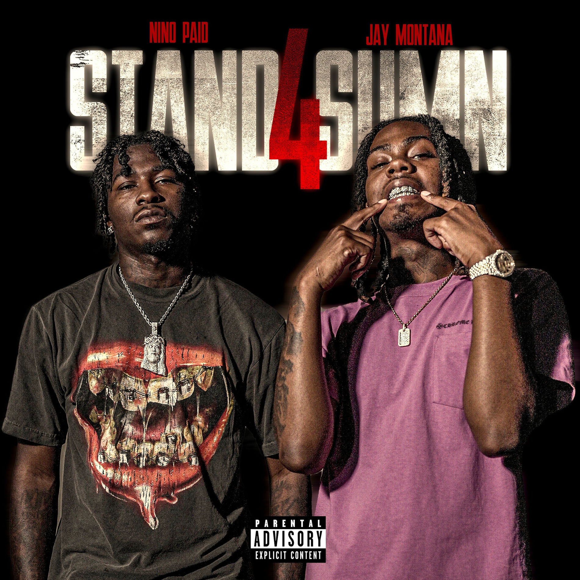 Album cover of Stand 4 Sumn (feat. Nino Paid)