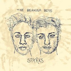 Cover of Sparks