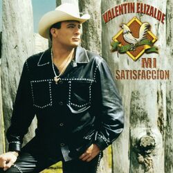 Cover of Mi Satisfacción