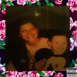 Cover of Calm Before The Storm