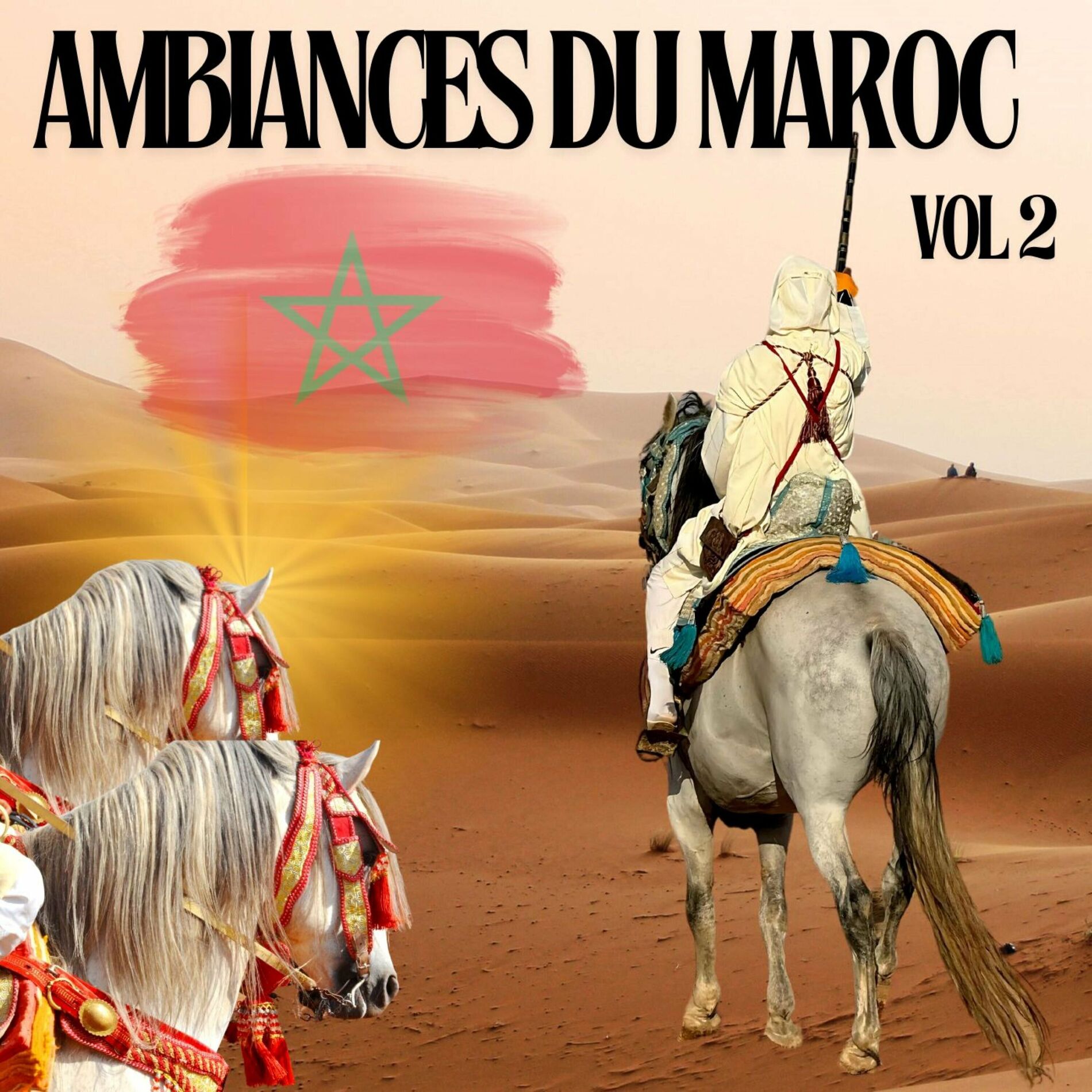 Album cover of Ambiances du Maroc, Vol. 2