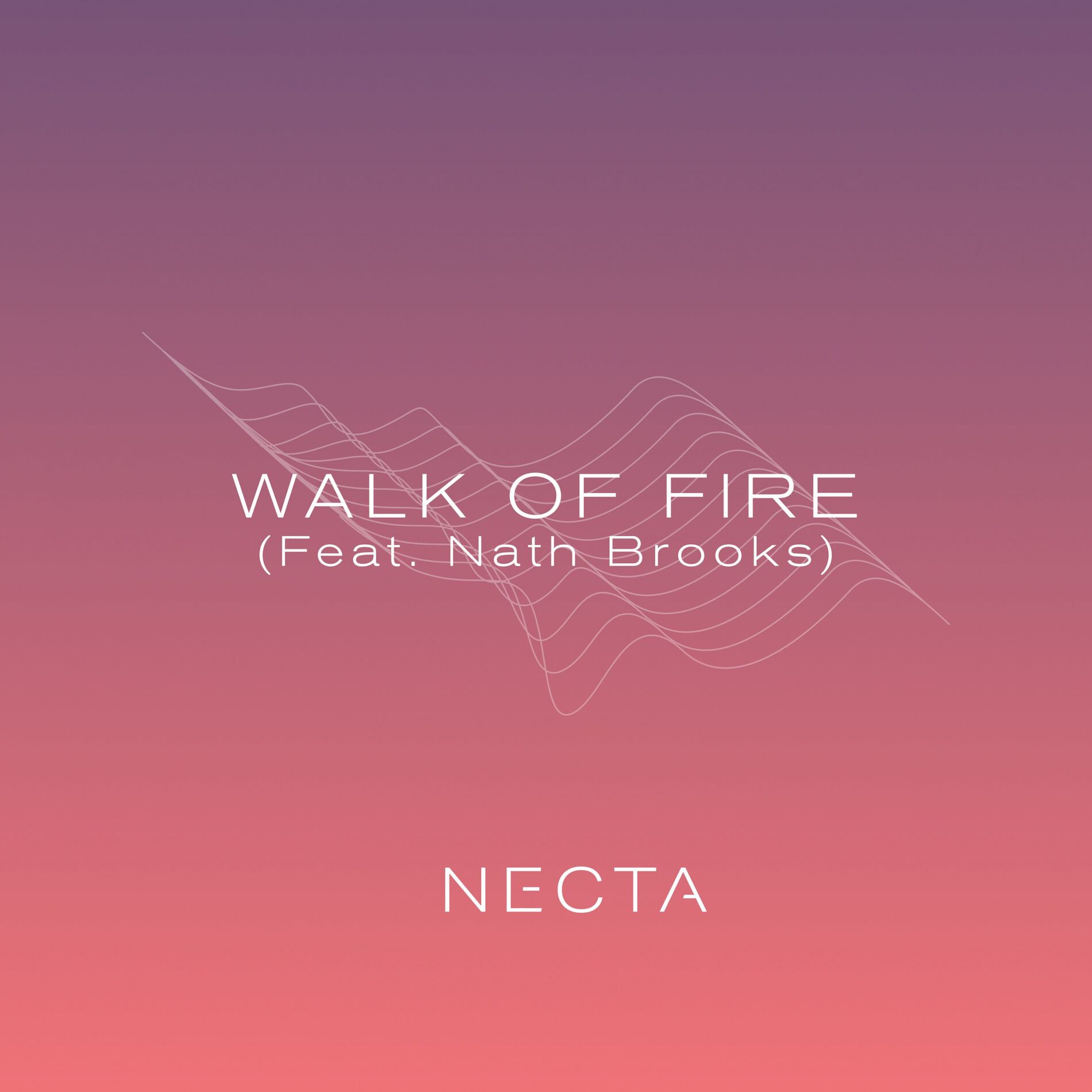 Album cover of Walk Of Fire