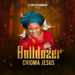 Cover of Bulldozer