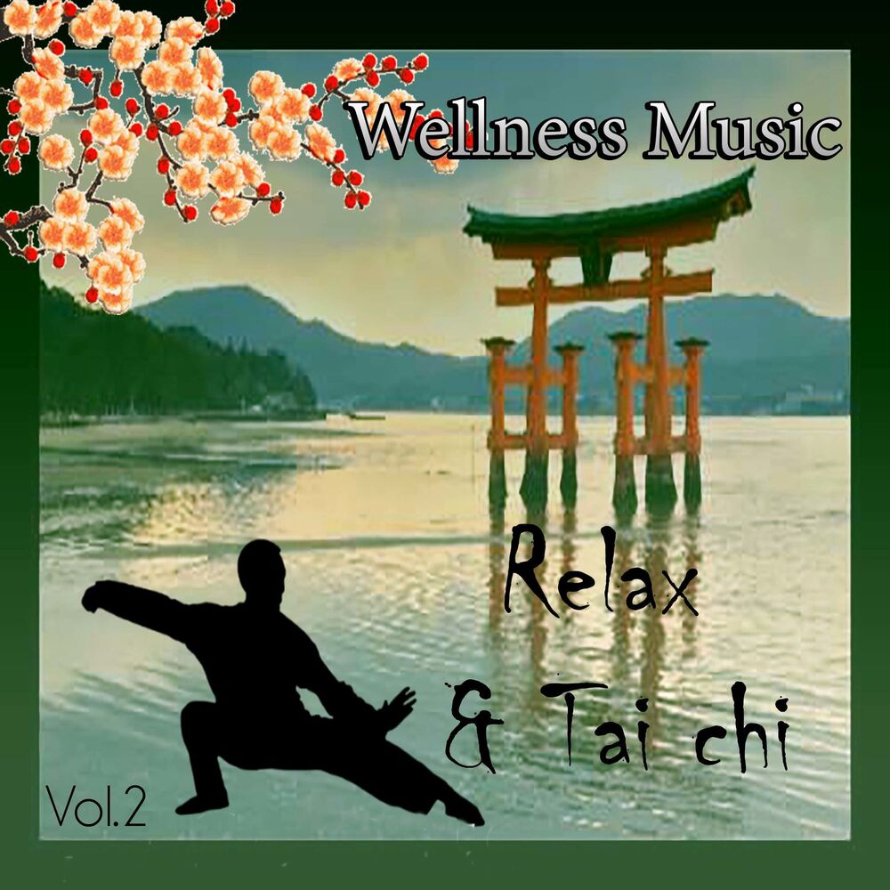 Picture of Wellness Music - Relax & Tai Chi, Vol. 2